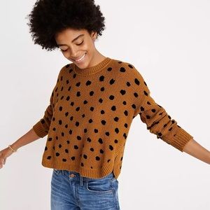 Madewell Painted Spots Pullover Sweater